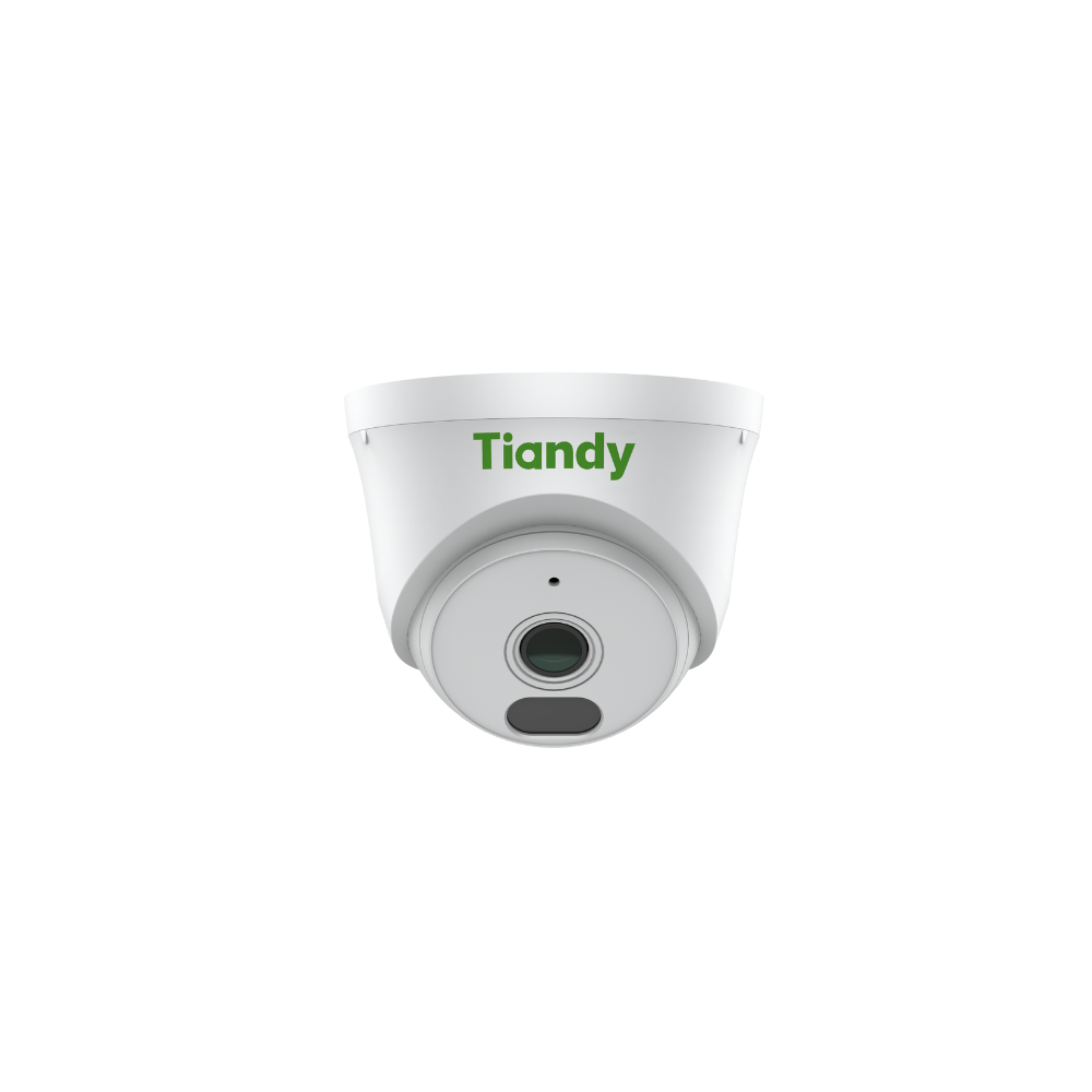 Tiandy Series 2mp Network IP Color Maker Dome Camera