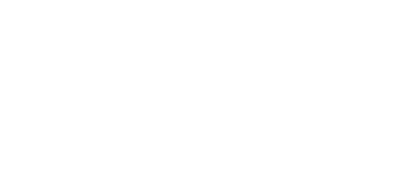 Viscon Security