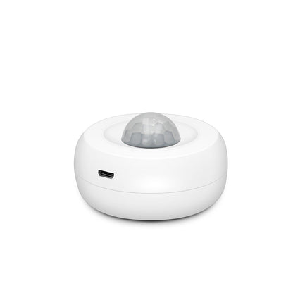 Pir Wifi Motion Sensor Tuya